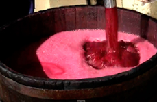 fermentacion-splash