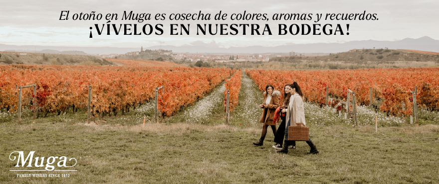 ¿Estás listo para cambiar de planes este verano? HAZ QUE EL PLAN PERFECTO COMIENCE AQUÍ.