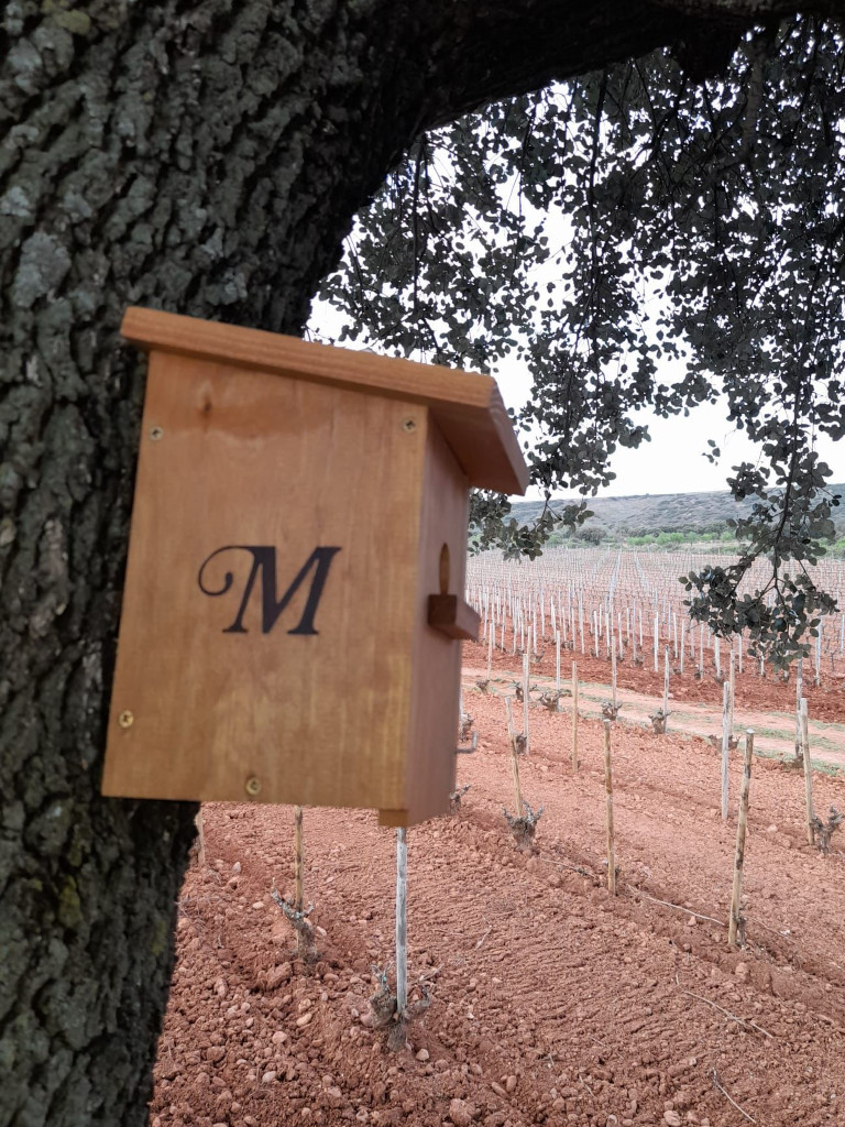 Casa nido pájaros y murciélagos