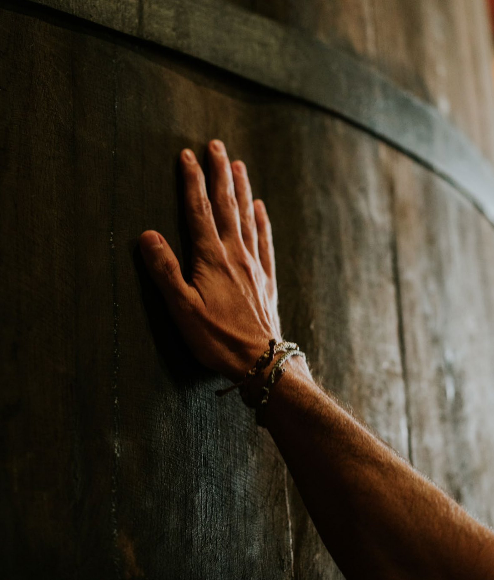 Tinos en Bodegas Muga